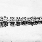 الجيش المصري في الحرب العالمية الأولى