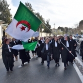 إحدى المظاهرات الجزائرية ضد «بوتفليقة»