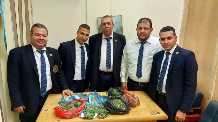 الجمارك تضبط 8.5 كجم «قات» مخدر بصحبة يمنيين قادمين إلى القاهرة