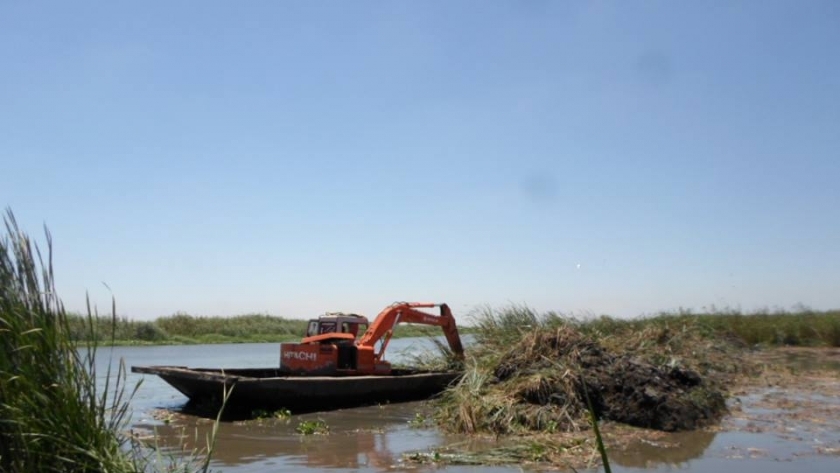 جهود مستمرة لإزالة التعديات على بحيرة إدكو