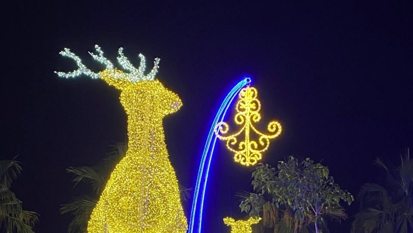 أضواء أعياد الميلاد في شرم الشيخ