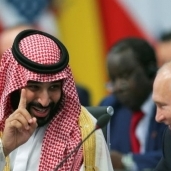 الرئيس بوتين وولي العهد السعودي