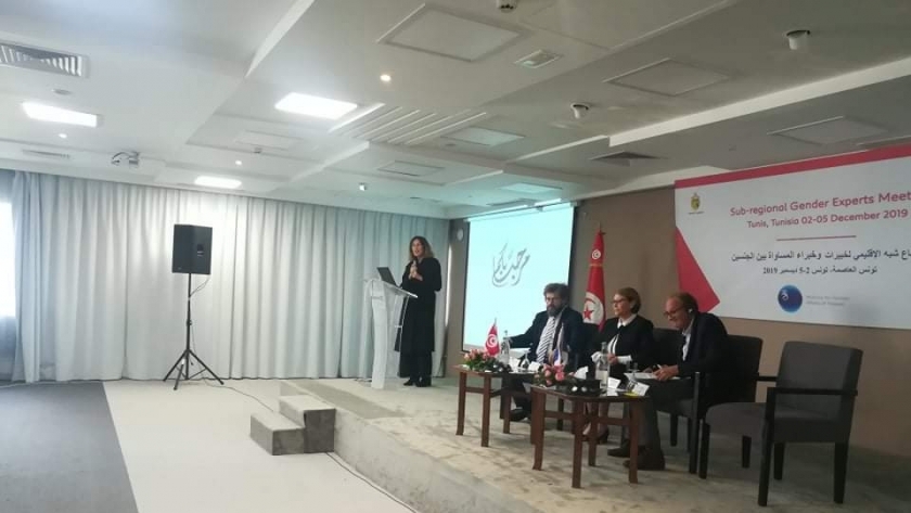 مصر تشارك في الاجتماع شبة الإقليمي لخبيرات وخبراء المساواة بين الجنسين بتونس