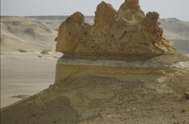 وادي الحيتان.. متحف طبيعي مفتوح يروي تاريخ الأرض الجيولوجي عبر السنين - التقرير