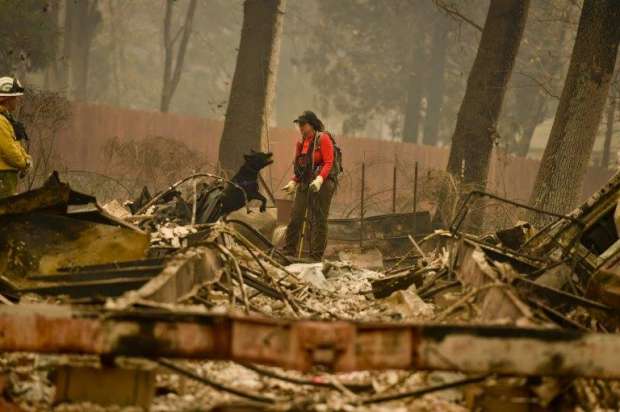 بالصور| حرائق الغابات في أمريكا تتسبب في تشرد العائلات