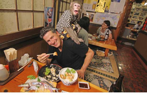 القردة "استوكا" تعمل "جارسونة" بمطعم ياباني.. والبقشيش "موز وسوداني"