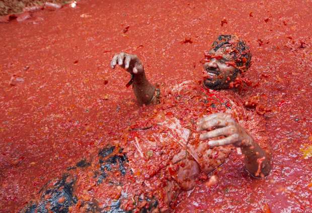 بالصور| إسبانيون يتراشقون بالطماطم في مهرجان سنوي بتكلفة 140 ألف يورو