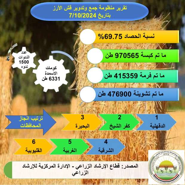 «الزراعة»: حصاد 70% من المساحات المنزرعة بمحصول الأرز - التقرير