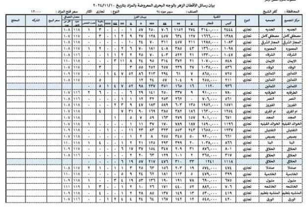 أسعار القطن في كفر الشيخ اليوم.. اعرف تفاصيل مزاد الوجه البحري - التقرير