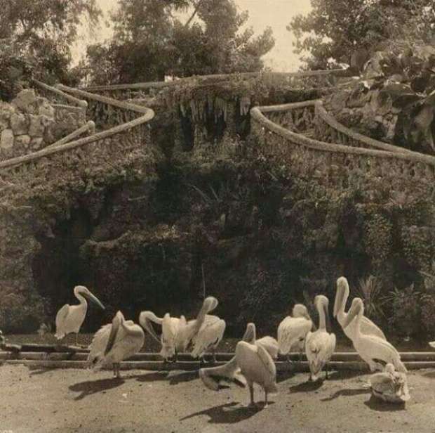 بالصور| حديقة الأزبكية.. أنشأها الخديوي إسماعيل وغنت بها أم كلثوم