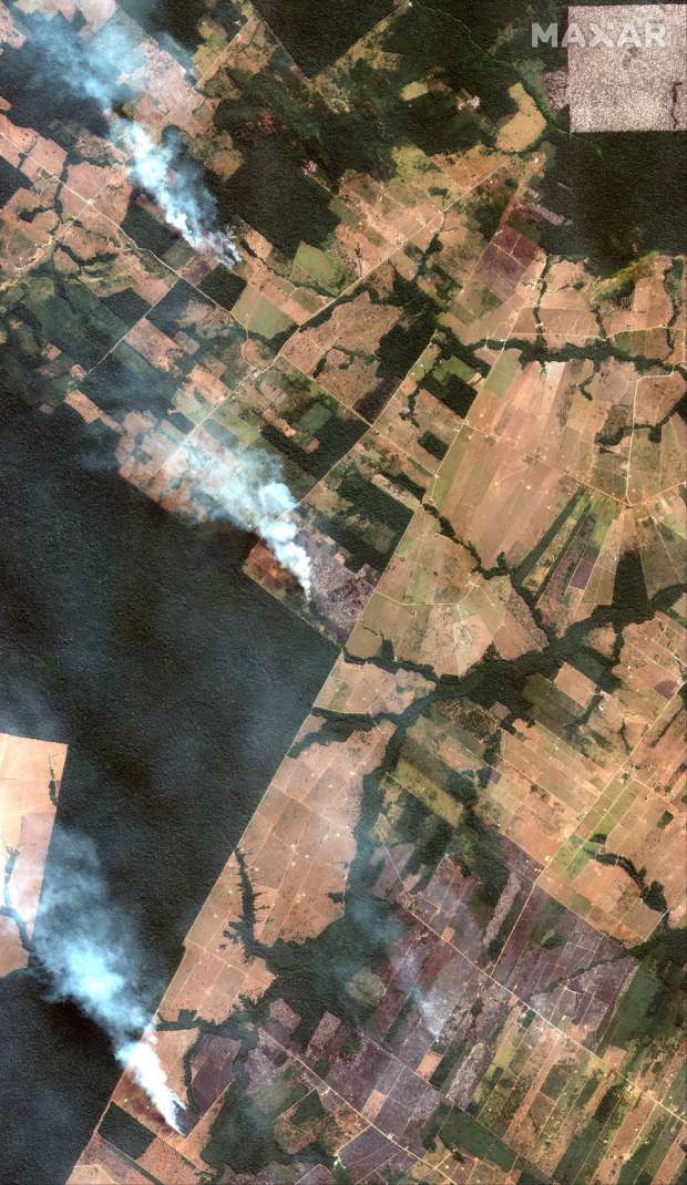 ألوان الوطن لماذا انتشرت حرائق غابات الأمازون بهذا الشكل