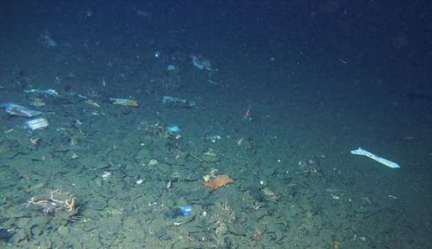"الكيس البلاستيكي".. رعب حقيقي يدل على تلوث أعماق محيطات العالم
