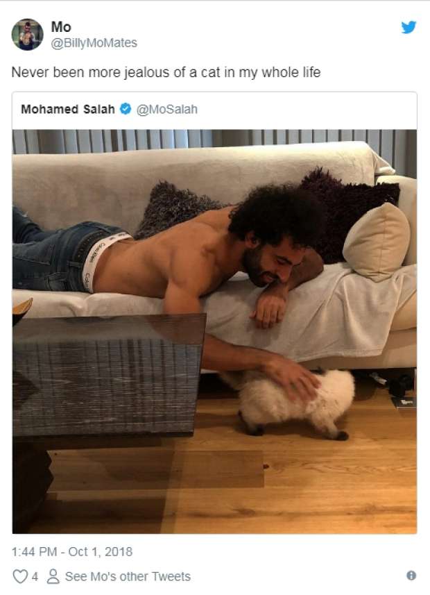 هل سرقت قطة محمد صلاح الأضواء من إعلان شركة ملابس عالمية؟