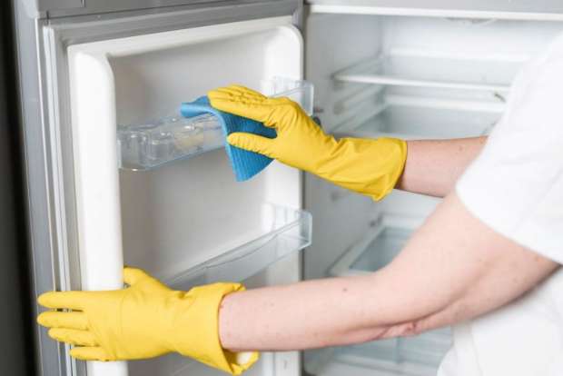 خلطة سحرية لتنظيف الثلاجة من الصراصير.. «طبيعية وآمنة على المأكولات» - منوعات - الوطن