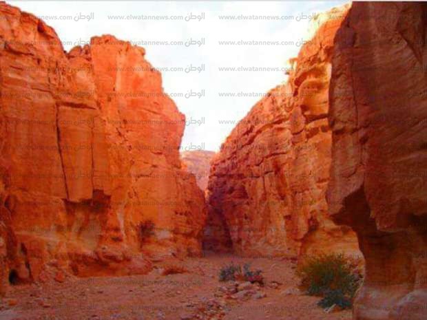 الجبال الملونة بجنوب سيناء 2605103801523695649