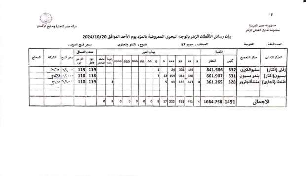 بيع 1664 قنطارا في أول أيام مزاد القطن بالمحلة الكبرى.. اعرف التفاصيل - التقرير