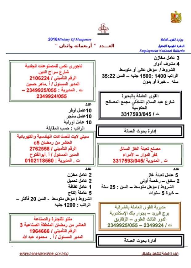 مرتبات تصل لـ 8 الآف جنيه.. الحكومة تعلن عن 11 ألف وظيفة شاغرة للشباب بمختلف المؤهلات 31