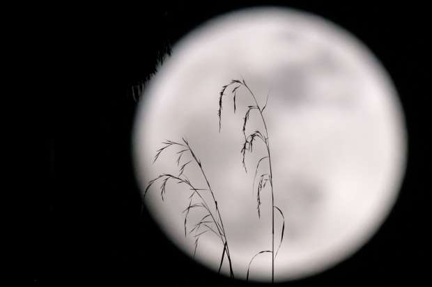 بالصور| العالم يشهد ظاهرة "القمر العملاق"