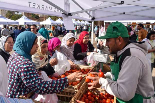 محافظ الإسكندرية: 20 عارضا بسوق اليوم الواحد للمزارعين بموقعه الجديد - التقرير