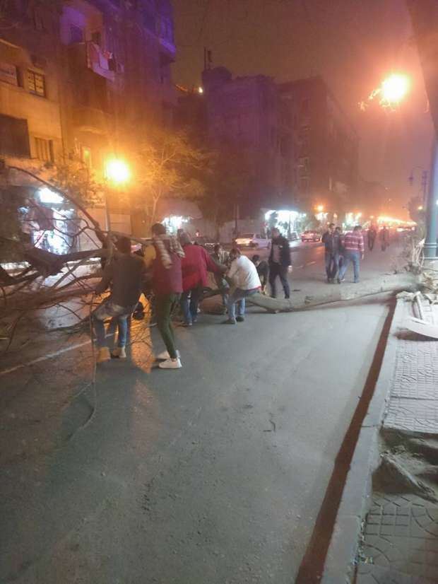 بالصور| سقوط شجرة بشارع القصر العيني بسبب العواصف