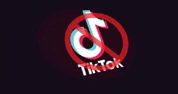 تحرك برلماني عاجل لحجب «تيك توك» بعد القبض على «كائن الهوهوز» 8353573941604858218