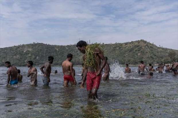 بالصور| "أورومو" يحتفلون بعيد الشكر على ضفاف البحيرة المقدسة بإثيوبيا
