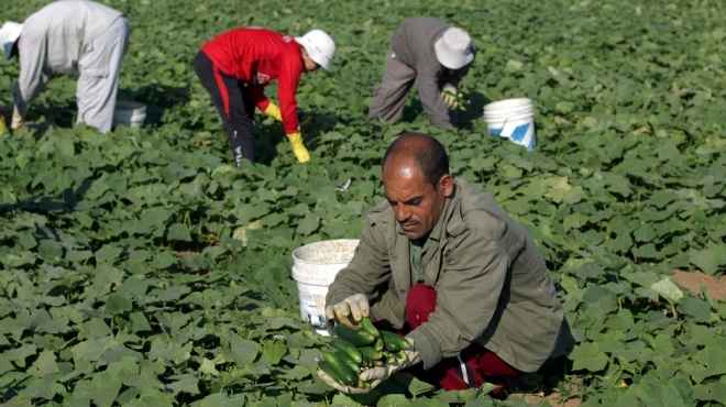  رئيس إتحاد الغرف الزراعية والإنتاج الحيواني السوداني: الدولة تهتم بالاستثمار المصرية