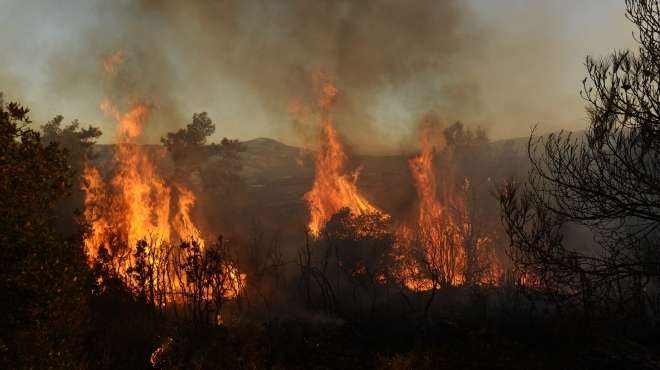 إخماد حريق نشب بأرض زراعية في السويس