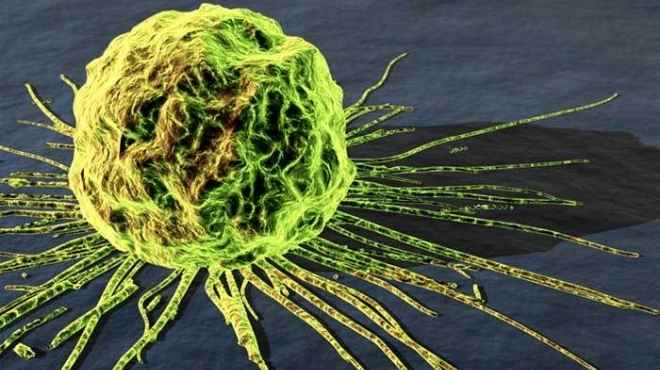  باحثون يجعلون خلايا السرطان تدمر نفسها بنفسها 