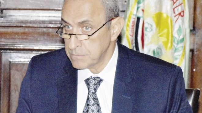 وزير الزراعة: إنشاء 25 صومعة غلال بتمويل 