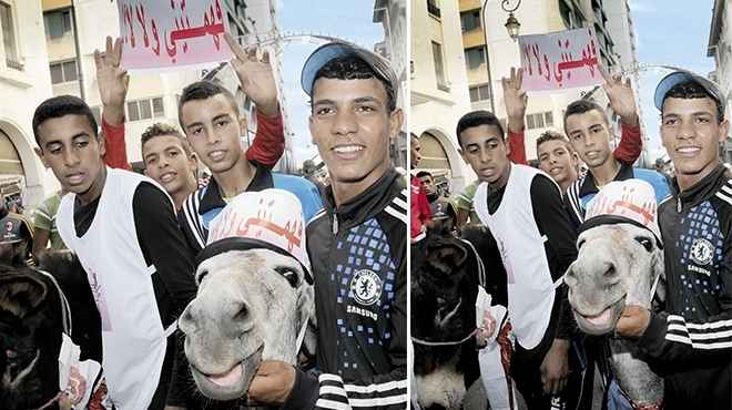 مسيرة بـ«الحمير» ضد «إخوان المغرب»