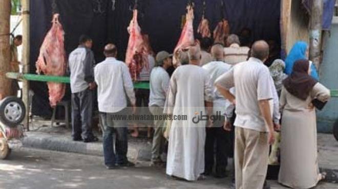  إقبال على شراء اللحوم البلدية المدعمة في بني سويف 