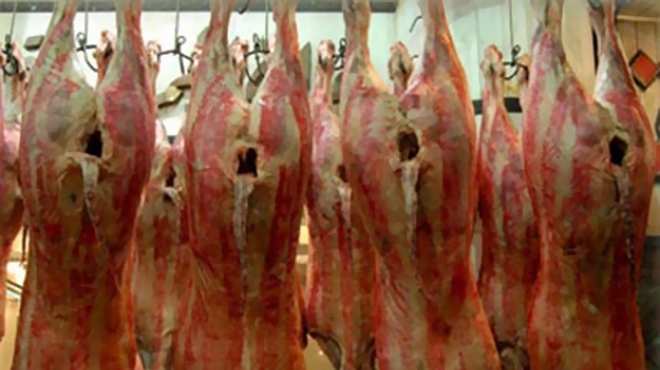 مدير مجازر السويس: اللحوم الأثيوبية تدخل مصر مجمّدة للتهرب من الرقابة