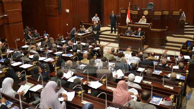 المركز المصري لحقوق المرأة: الدستور الجديد مرفوض جملة وتفصيلا