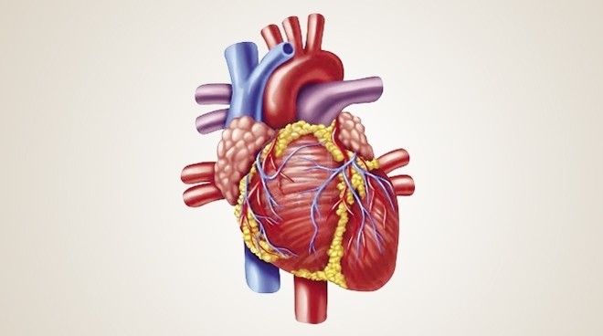  الأساليب الحديثة لجراحة القلب والصدر في مؤتمر علمي بجامعة طنطا