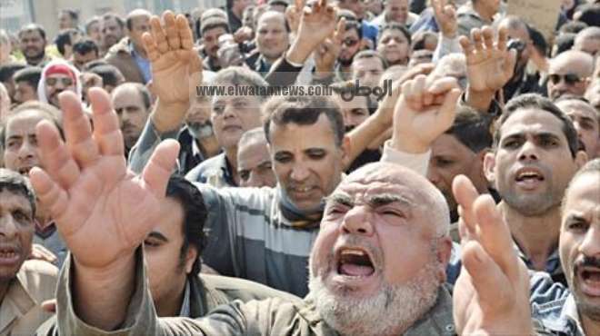  وقفة احتجاجية للعاملين بالضرائب العقارية بجنوب سيناء 