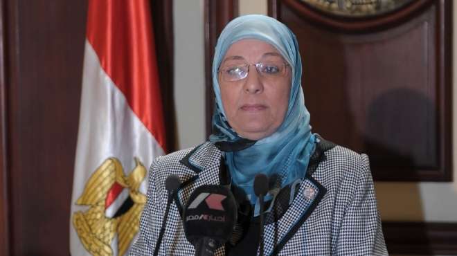 العشري تناشد المغتربين تسجيل بياناتهم لدى السفارات المصرية