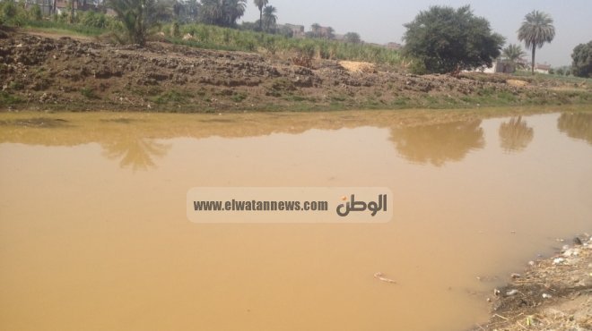 5 قرى بالدقهلية تشرب من مياه المصارف.. ومواطنوها يصابون بأمراض جلدية