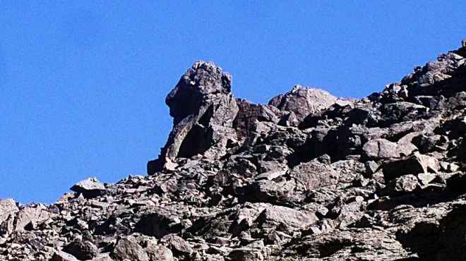  صخرة تشكل تمثال أبو الهول بمحمية وادى الجمال في مرسى علم 