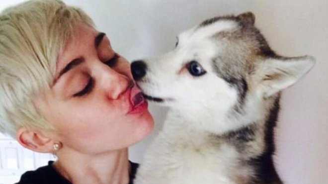  مايلي سايرس تنعي كلبها في ذكرى رحيله وتنشر صورة تقبله فيها