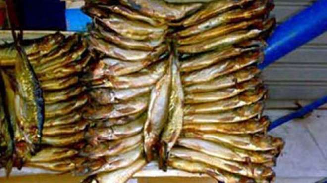  ضبط 4 آلاف طن أسماك مملحة فاسدة قبل 