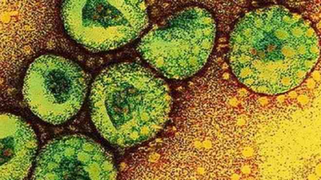  وزارة الصحة الأردنية تسجل سادس حالة وفاة بفيروس 