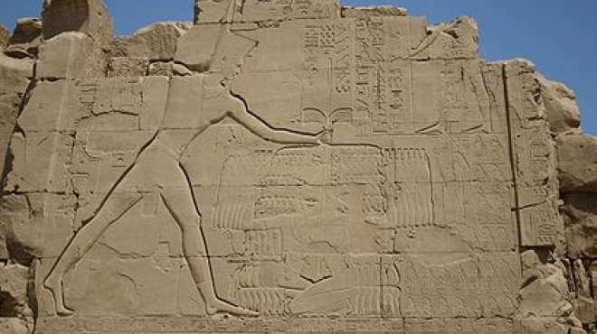 مكتشف معبد «تحتمس الثالث»: أنا ندمان