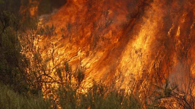  الولايات المتحدة: حاكم كاليفورنيا يعلن حال الطوارئ لمكافحة حرائق الغابات