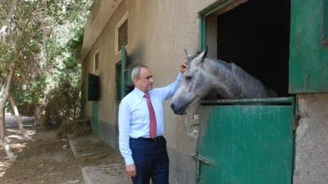 بالصور| وزير الزراعة: وضع خطة متكاملة لتطوير محطة الزهراء للخيول العربية