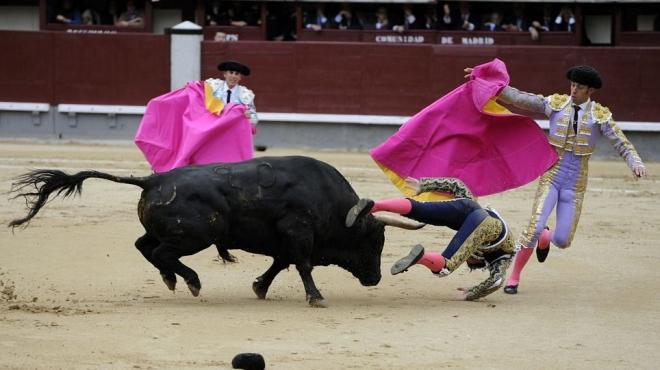 انطلاق مهرجان الركض أمام الثيران في مدينة بنبلونة الإسبانية
