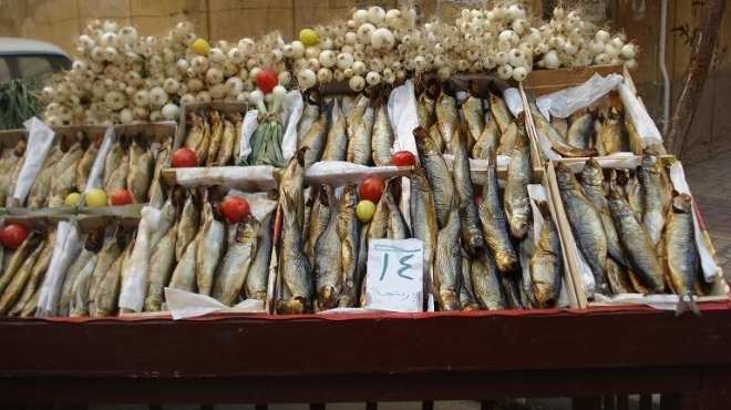 ضبط 1220 كيلو من الأسماك المملحة الغير صالحة للاستخدام الآدمي بالإسكندرية 