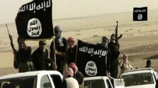  صحيفة أمريكية: «داعش» ظهرت فى سيناء