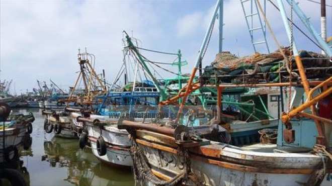 الخارجية تناشد الصيادين المصريين الالتزام بعدم دخول المياه الإقليمية