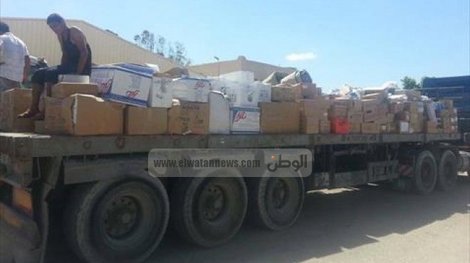 قافلة مساعدات إغاثية من الهلال الأحمر الإماراتي تصل إلى غزة